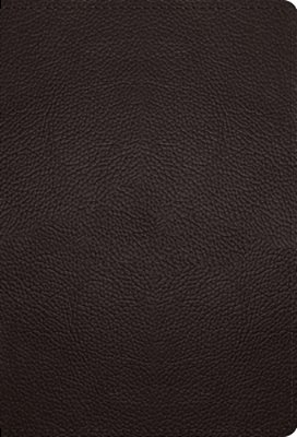 Esv Large Print Compact Bible (Buffalo Leather, Deep Brown)-..
