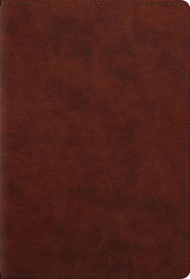 Esv Student Study Bible (Trutone, Chestnut)-..