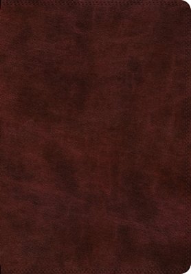 Esv Super Giant Print Bible (Trutone, Burgundy)-..