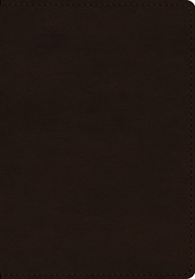 Esv Single Column Journaling Bible, Large Print (Trutone, Deep Brown)-..