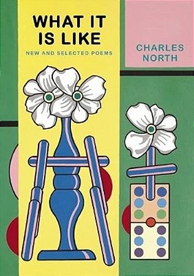 What It Is Like: New And Selected Poems-..
