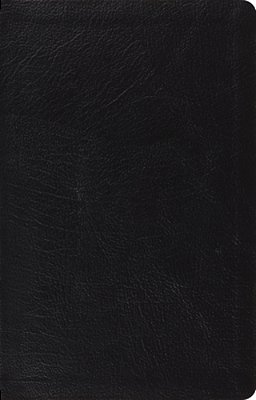 Large Print Thinline Reference Bible-Esv-..