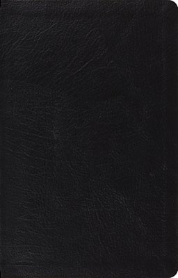 Large Print Thinline Reference Bible-Esv-..