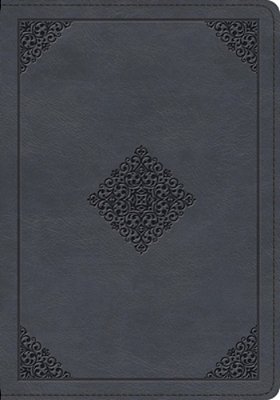 Esv Large Print Wide Margin Bible (Trutone, Slate Blue, Ornament Design)-..