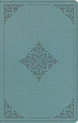 Esv Value Thinline Bible (Trutone, Paris Sky, Fleur-De-lis Design)-..