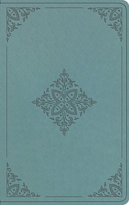 Esv Value Thinline Bible (Trutone, Paris Sky, Fleur-De-lis Design)-..
