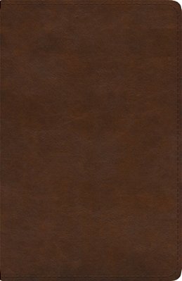 Esv Spanish/English Parallel Bible (La Santa Biblia Rvr 1960/The Holy Bible Esv, Trutone, Brown)-..