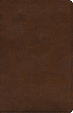Esv Spanish/English Parallel Bible (La Santa Biblia Rvr 1960/The Holy Bible Esv, Trutone, Brown)-..