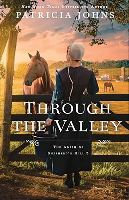 Through The Valley-..