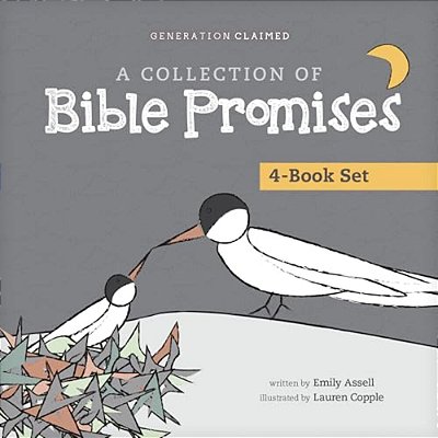 A Collection Of Bible Promises 4-Book Set: When It Hurts/You Are/Tonight/chosen-..
