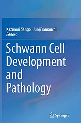 Schwann Cell Development And Pathology-..