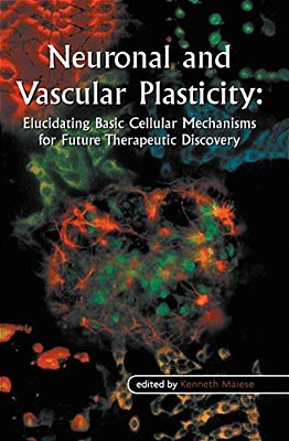 Neuronal And Vascular Plasticity: Elucidating Basic Cellular Mechanisms For Future Therapeutic Discovery-..