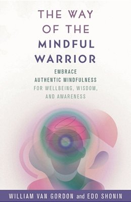 Way Of The Mindful Warrior: Embrace Authentic Mindfulness For Wellbeing, Wisdom, And Awareness-..