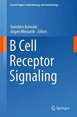 B Cell Receptor Signaling-..