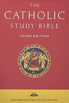 Catholic Study Bible-Nab-..