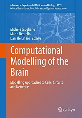 Computational Modelling Of The Brain: Modelling Approaches To Cells, Circuits And Networks-..