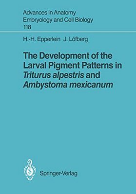 The Development Of The Larval Pigment Patterns In Triturus Alpestris And Ambystoma Mexicanum-..