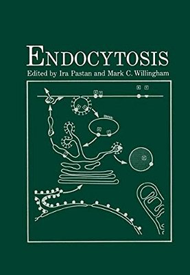 Endocytosis-..