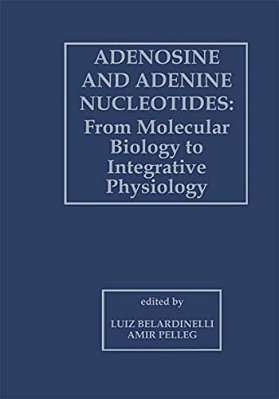 Adenosine And Adenine Nucleotides: From Molecular Biology To Integrative Physiology-..