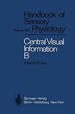 Visual Centers In The Brain-..
