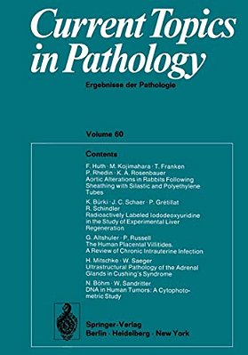 Current Topics In Pathology/Ergebnisse Der Pathologie: Ergebnisse Der Pathologie-..