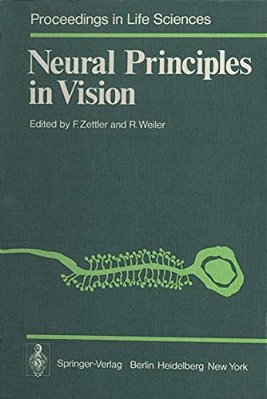 Neural Principles In Vision-..