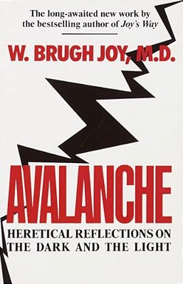 Avalanche: Heretical Reflections On The Dark And The Light-..