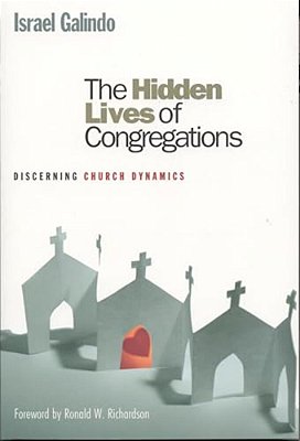 Hidden Lives Of Congregations: Discerning Church Dynamics-..