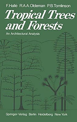 Tropical Trees And Forests: An Architectural Analysis-..