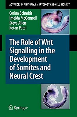 The Role Of Wnt Signalling In The Development Of Somites And Neural Crest-..