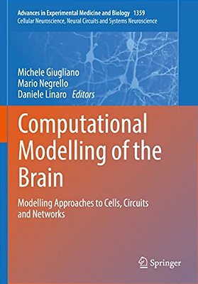 Computational Modelling Of The Brain: Modelling Approaches To Cells, Circuits And Networks-..