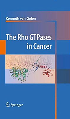 The Rho Gtpases In Cancer-..