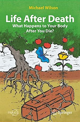 Life After Death: What Happens To Your Body After You Die?-..