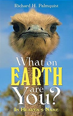 What On Earth Are You?: In Heaven's Name-..