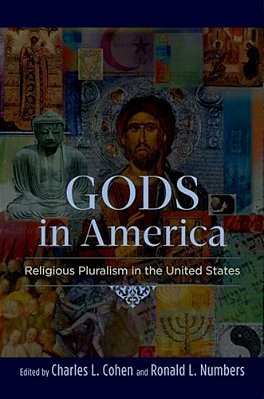 Gods In America: Religious Pluralism In The United States-..