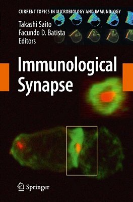 Immunological Synapse-..