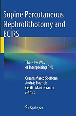 Supine Percutaneous Nephrolithotomy And Ecirs: The New Way Of Interpreting Pnl-..