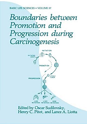 Boundaries Between Promotion And Progression During Carcinogenesis-..