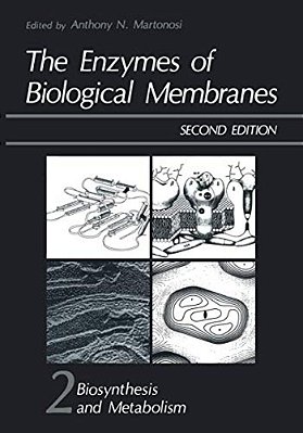 The Enzymes Of Biological Membranes: Volume 2 Biosynthesis And Metabolism-..