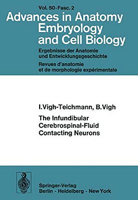 The Infundibular Cerebrospinal-Fluid Contacting Neurons-..