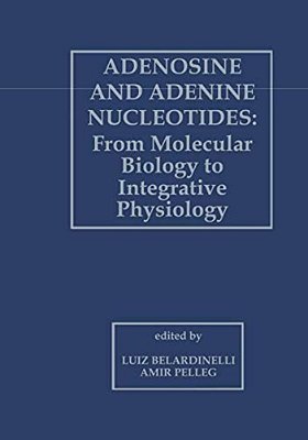 Adenosine And Adenine Nucleotides: From Molecular Biology To Integrative Physiology-..