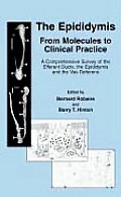 The Epididymis: From Molecules To Clinical Practice: A Comprehensive Survey Of The Efferent Ducts, The Epididymis And The Vas Deferens-..