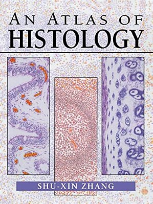 An Atlas Of Histology-..