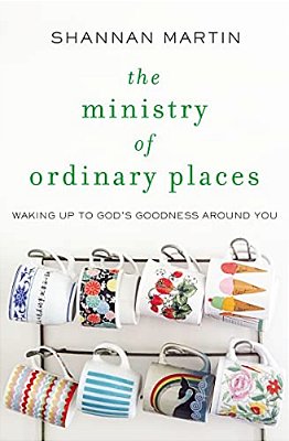 The Ministry Of Ordinary Places: Waking Up To God's Goodness Around You-..