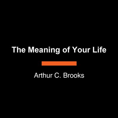 The Meaning Of Your Life: Finding Purpose In An Age Of Emptiness-..