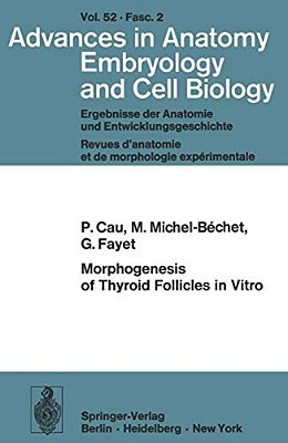 Morphogenesis Of Thyroid Follicles In Vitro-..