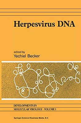 Herpesvirus Dna: Recent Studies On The Organization Of Viral Genomes, Mrna Transcription, Dna Replication, Defective Dna, And Viral Dna Sequences In T-..