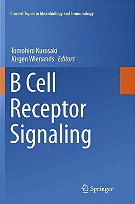 B Cell Receptor Signaling-..