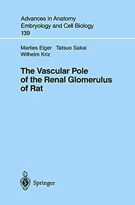 The Vascular Pole Of The Renal Glomerulus Of Rat-..