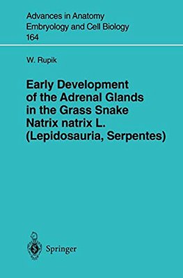 Early Development Of The Adrenal Glands In The Grass Snake Natrix Natrix L. (Lepidosauria, Serpentes)-..
